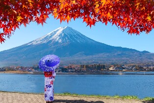 東京/新宿出發 | 富士山人氣打卡景點 富士山下網紅公園&日川時計店&羅森便利店&忍野八海＆大石公園一日遊