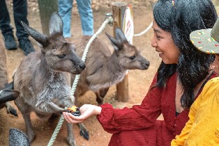 雪梨野生動物園門票