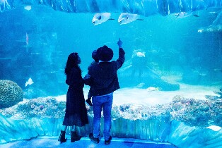 雪梨 SEA LIFE 水族館門票