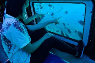 沖繩玻璃水底觀光船之旅