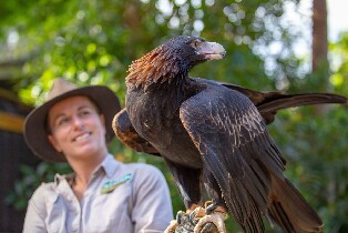 可倫賓野生動物保護區門票圖片