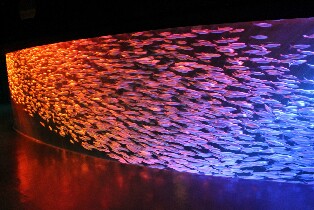 登別尼克斯海洋公園門票