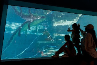 達爾文鱷魚主題公園門票