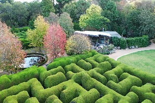 雅思迷宮和薰衣草花園門票