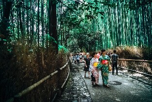 京都嵐山半日私人導覽