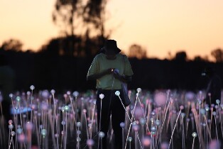 「原野星光」日出之旅圖片