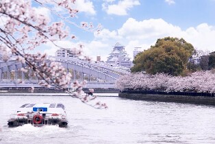 大阪或京都出發：大阪城市一日探索徒步之旅圖片
