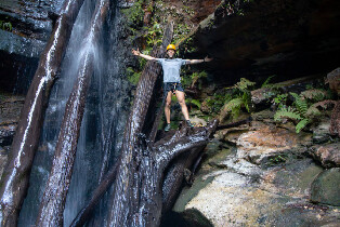 卡通巴藍山繩索峽谷體驗圖片