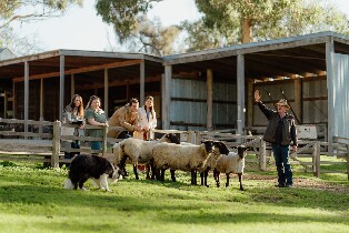 菲利普島邱吉爾島門票