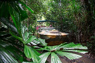 庫蘭達雨林水陸兩用車＆雨林纜車＆觀光火車體驗
