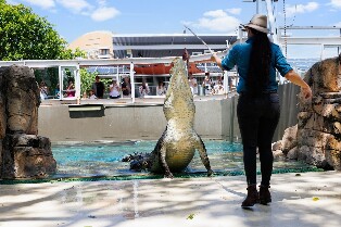 達爾文鱷魚公園＆達爾文景點套票
