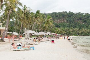富國南部半日觀光之旅(護國寺及胡椒園)