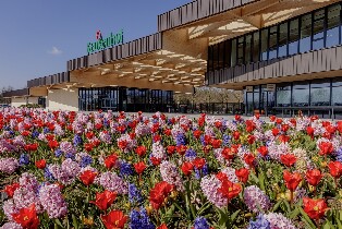 荷蘭庫肯霍夫花園門票（含阿姆斯特丹隨上隨下巴士）圖片