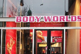 阿姆斯特丹人體世界展覽門票