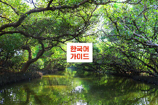 高雄&台南一日游（韩语导游）