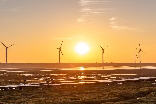 臺中高美濕地 & 彩虹眷村半日遊