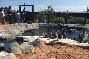 斯卡伯勒海洋生物中心門票