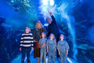 伯明翰SEA LIFE水族館門票