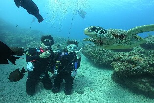 熊潛水 Bear Diving - 小琉球PADI 開放水域潛水員課程