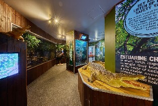 凱恩斯考拉和生物門票