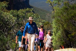 藍山國家公園徒步探索之旅圖片