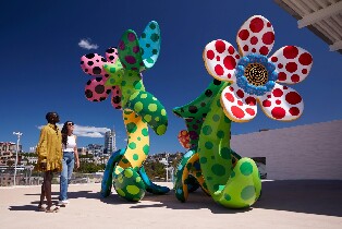 新南威爾士州美術館展覽