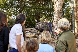 澳式後院探險之旅