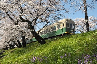 嵐電&京都地鐵一日乘車券