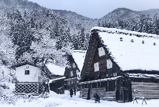 白川鄉＆飛驒高山巴士一日遊（名古屋出發）