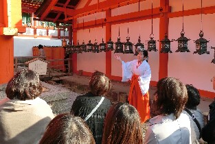 從京都或大阪出發的京都和奈良一日遊