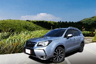 陽明山包車一日遊：竹子湖・小油坑・地熱谷（臺北出發）