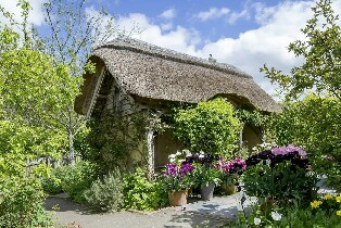 德文郡羅斯穆爾皇家園藝學會花園門票