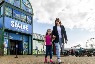 亨斯坦頓海洋生物中心門票