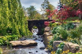 哈羅蓋特皇家園藝學會哈洛卡爾花園門票