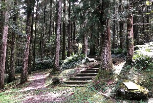 東眼山國家森林遊樂區門票