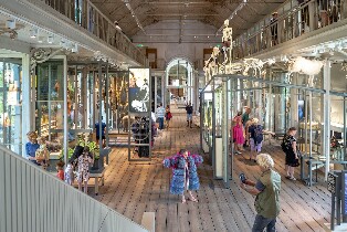 阿姆斯特丹 ARTIS Groote 博物館門票