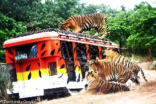 蘇比克野生動物園門票