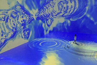 馬尼拉 Art In Island 3D 美術館門票