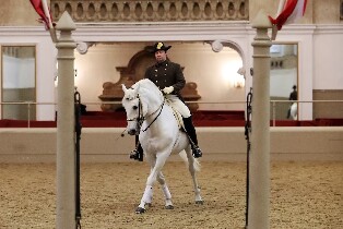 維也納西班牙騎術學校利比紮馬術表演門票