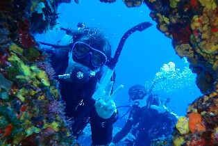 綠島潛水綠島藍莎潛水中心一對一深潛體驗・含潛點往返接送