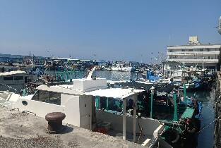 綠島蘭嶼私人交通接送：花蓮／臺東／富岡漁港