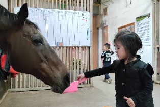 宜蘭噶馬蘭馬術運動場騎馬體驗｜戶外・河畔騎乘