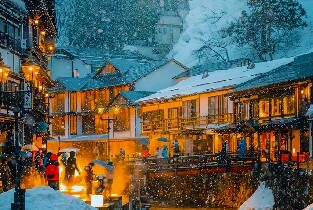 銀山溫泉&藏王中央纜車&宮崎藏王狐貍村&大內宿 2日遊 (新宿出發)