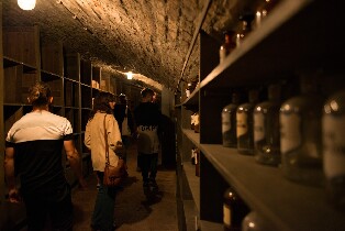 維也納歷史地下藥房探索之旅