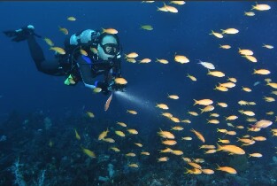 靜岡・伊豆高原潛水體驗