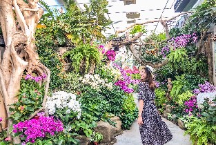 苗栗花露休閒農場門票