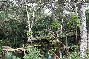 菲律賓巴拉望 Cacaoyan 森林公園門票＆午餐