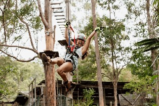 坦伯林山樹頂挑戰