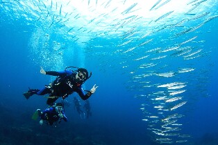 屏東墾丁後壁湖深呼吸潛水體驗潛水・OW潛水課程・AOW潛水課程・船潛・高氧圖片
