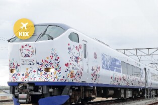 JR關西機場特快HARUKA車票